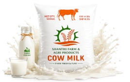 Pure Cow Milk
